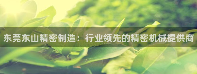 彩神v8平台正规吗：东莞东山精密制造：行业领先的精密机械提供商