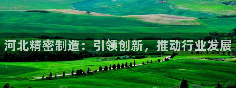 彩神赢的钱是哪里来的啊：河北精密制造：引领创新，推动行业发展