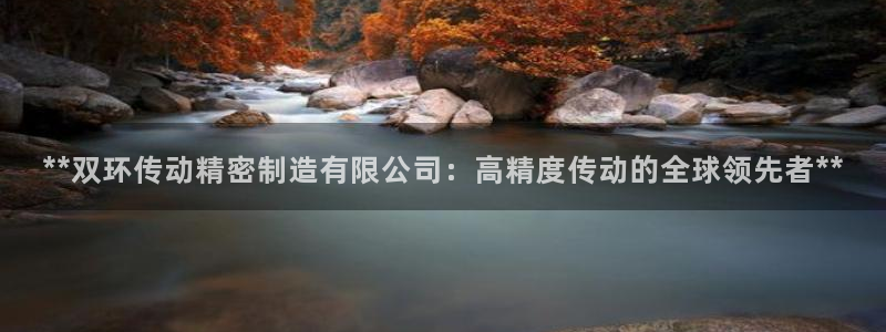 彩神通关注码金码对应码：**双环传动精密制造有限公司：高精度传动的全球领先者**