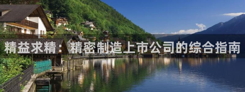 彩神vip购彩大厅：精益求精：精密制造上市公司的综合指南
