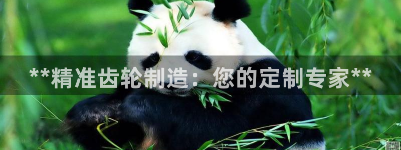 彩神vlll官网网上购彩：**精准齿轮制造：您的定制专家**