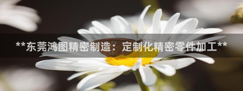 彩神v平台：**东莞鸿图精密制造：定制化精密零件加工**