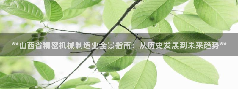 彩神网正规吗：**山西省精密机械制造业全景指南：从历史发展到未来趋势**