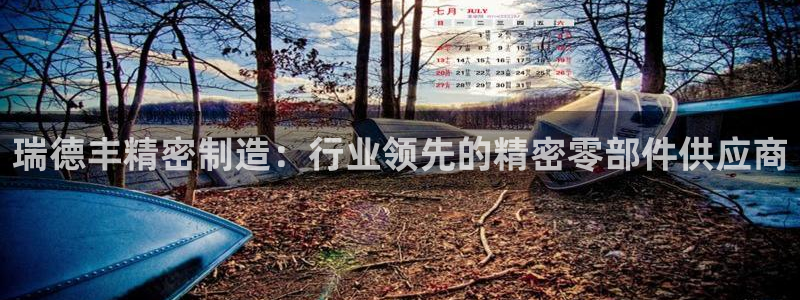 彩神争霸老平台：瑞德丰精密制造：行业领先的精密零部件供应商