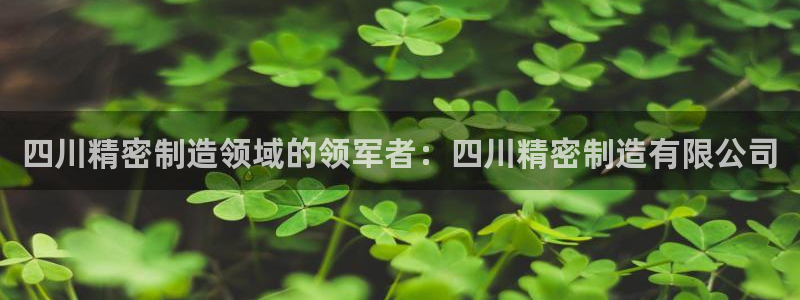 v大发彩神8iii：四川精密制造领域的领军者：四川精密制造有限公司