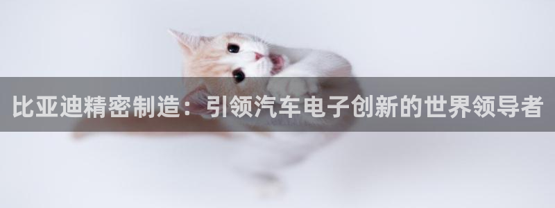 彩神V8平台：比亚迪精密制造：引领汽车电子创新的世界领导者