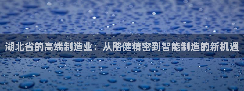 彩神网官网登录：湖北省的高端制造业：从骼健精密到智能制造的新机遇