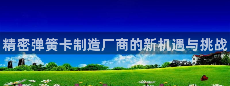 彩神数码科技有限公司：精密弹簧卡制造厂商的新机遇与挑战