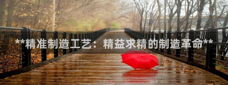 大发彩神官网下载：**精准制造工艺：精益求精的制造革命**