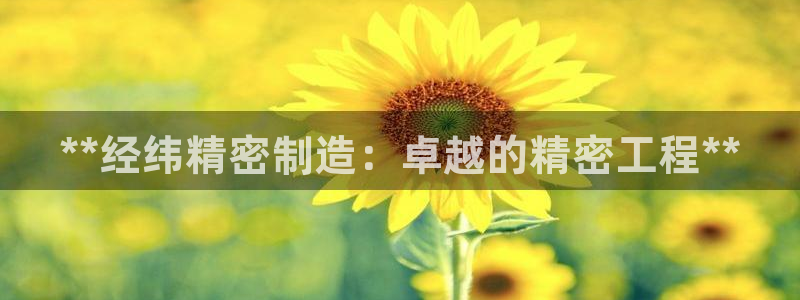 彩神广告有限公司：**经纬精密制造：卓越的精密工程**