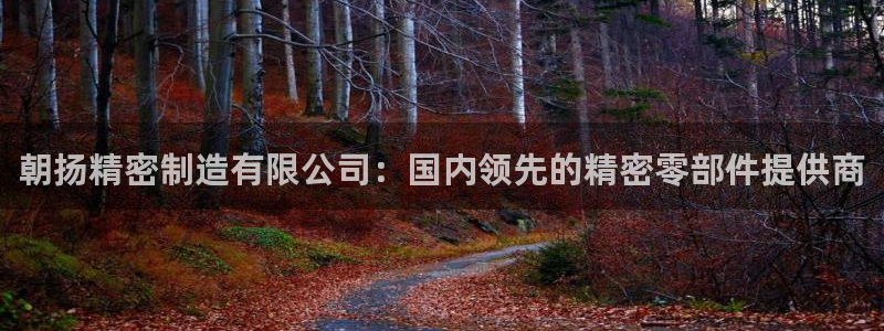 彩神ii官方网：朝扬精密制造有限公司：国内领先的精密零部件提供商