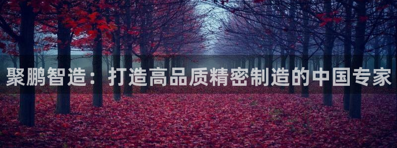 彩神ix可靠吗：聚鹏智造：打造高品质精密制造的中国专家