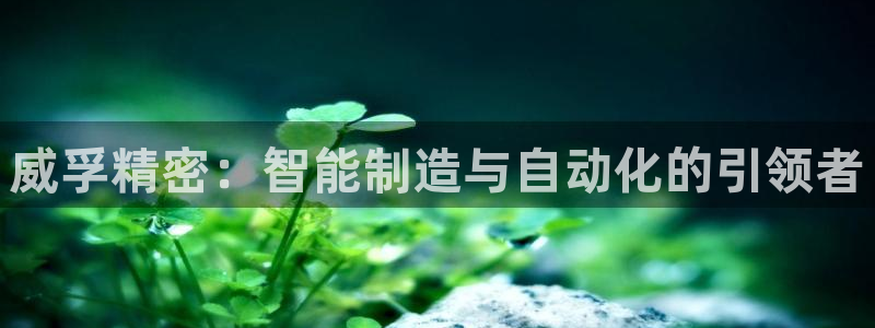 彩神新微聊：威孚精密：智能制造与自动化的引领者
