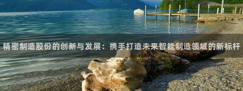 彩神是真的吗：精密制造股份的创新与发展：携手打造未来智能制造领域的新标杆