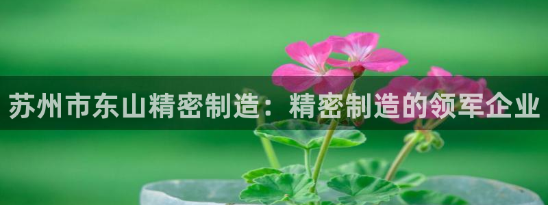 彩神v网赌软件下载：苏州市东山精密制造：精密制造的领军企业