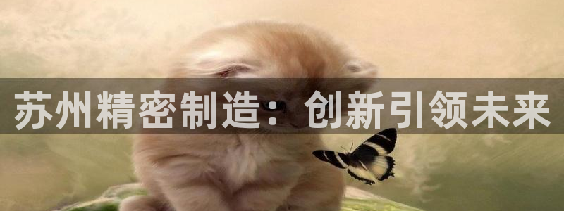 大发彩神争：苏州精密制造：创新引领未来