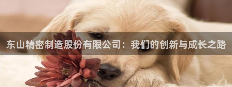 彩神vl购彩大厅：东山精密制造股份有限公司：我们的创新与成长之路