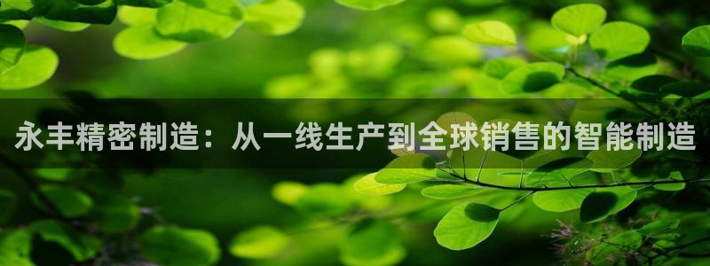 彩神赢的钱是哪里来的啊：永丰精密制造：从一线生产到全球销售的智能制造