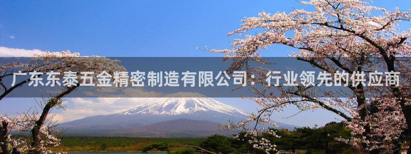 彩神viii是正规平台吗?：广东东泰五金精密制造有限公司：行业领先的供应商
