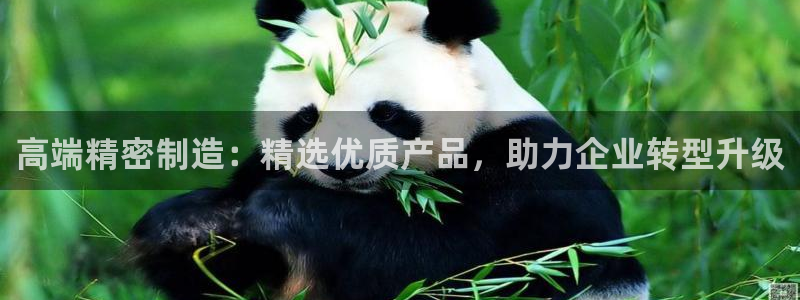 v彩神88iii：高端精密制造：精选优质产品，助力企业转型升级