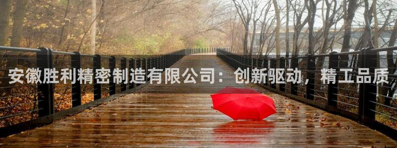 彩神网能赚钱是怎么回事：安徽胜利精密制造有限公司：创新驱动，精工品质