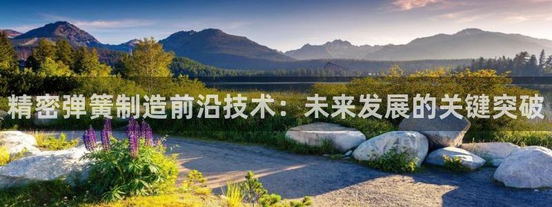 彩神怎么样可以提现：精密弹簧制造前沿技术：未来发展的关键突破