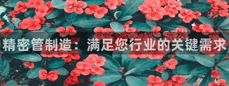 彩神大发三期计划网站：精密管制造：满足您行业的关键需求