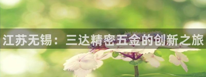 彩神数码科技有限公司：江苏无锡：三达精密五金的创新之旅
