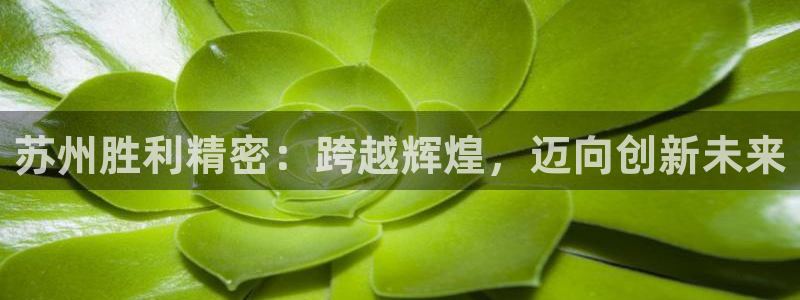 彩神V集团有限公司：苏州胜利精密：跨越辉煌，迈向创新未来