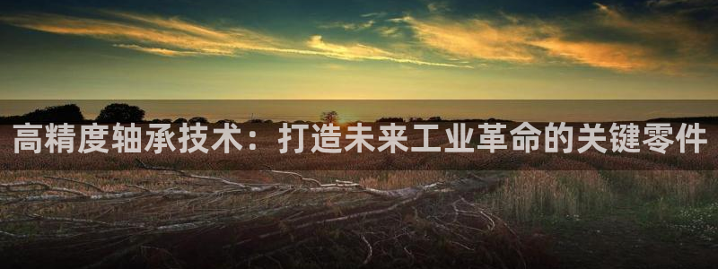 彩神v8购彩大厅登：高精度轴承技术：打造未来工业革命的关键零件