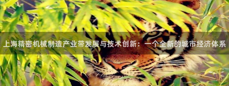 彩神vll购彩大厅大众：上海精密机械制造产业带发展与技术创新：一个全新的城市经济体系