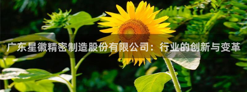 彩神vi争霸官网：广东星徽精密制造股份有限公司：行业的创新与变革