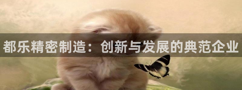 彩神ix官网：都乐精密制造：创新与发展的典范企业