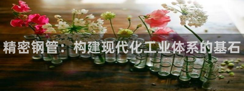 彩神Vll：精密钢管：构建现代化工业体系的基石