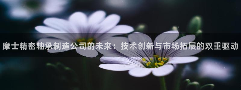 彩神赢了钱登录不上去：摩士精密轴承制造公司的未来：技术创新与市场拓展的双重驱动