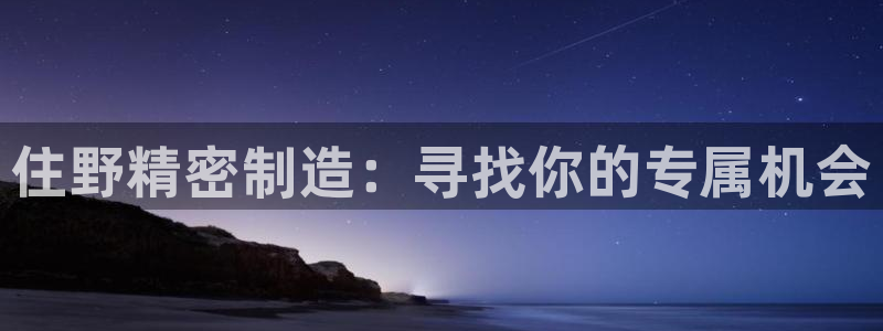 彩神8是正规平台吗知乎：住野精密制造：寻找你的专属机会