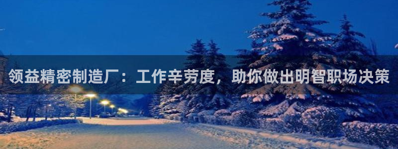 彩神怎么才能赢：领益精密制造厂：工作辛劳度，助你做出明智职场决策