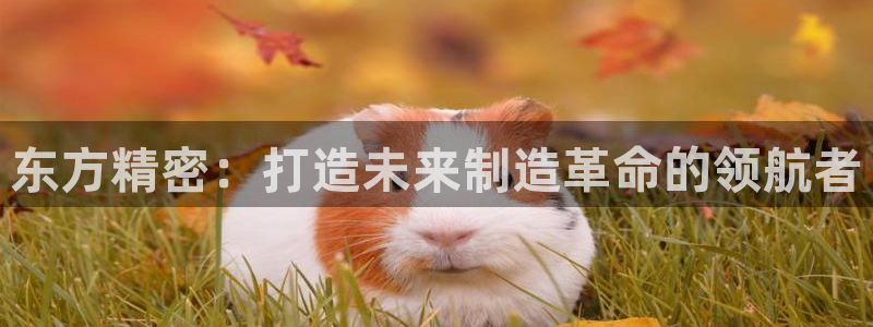 彩神购彩-购彩大厅入口36fr：东方精密：打造未来制造革命的领航者