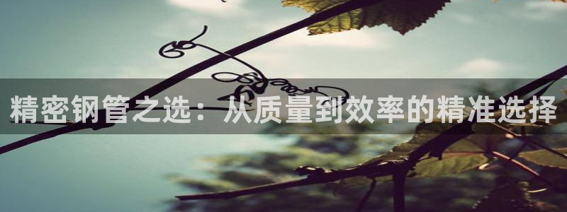 彩神盈利图片：精密钢管之选：从质量到效率的精准选择