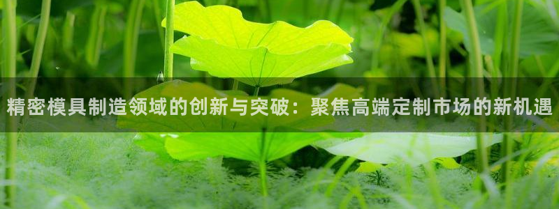 所有彩神购买首页都一样吗：精密模具制造领域的创新与突破：聚焦高端定制市场的新机遇