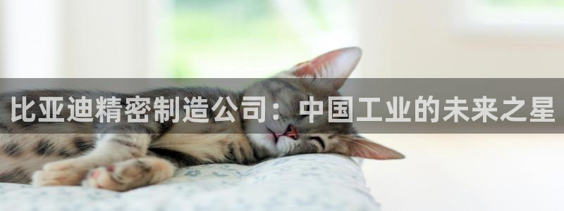 彩神怎么才能赢：比亚迪精密制造公司：中国工业的未来之星