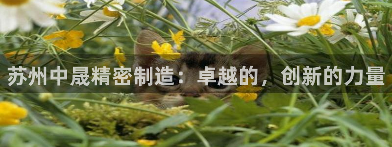 彩神v8购彩大厅登：苏州中晟精密制造：卓越的，创新的力量