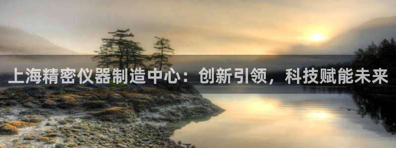 下载彩神v8：上海精密仪器制造中心：创新引领，科技赋能未来