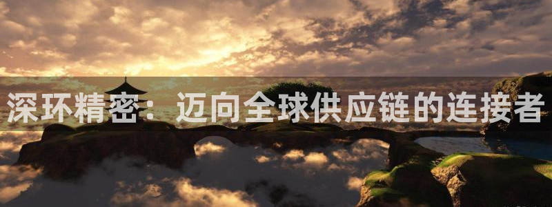 彩神8官网下：深环精密：迈向全球供应链的连接者