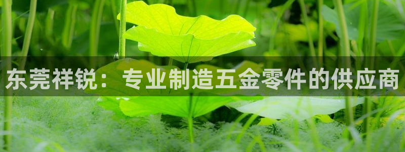 彩神vlll(中国)百度百科：东莞祥锐：专业制造五金零件的供应商