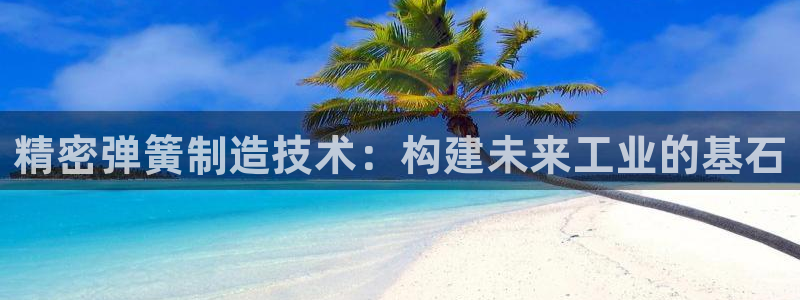 彩神ios下载：精密弹簧制造技术：构建未来工业的基石