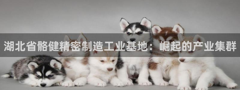 彩神xapp官方网站：湖北省骼健精密制造工业基地：崛起的产业集群