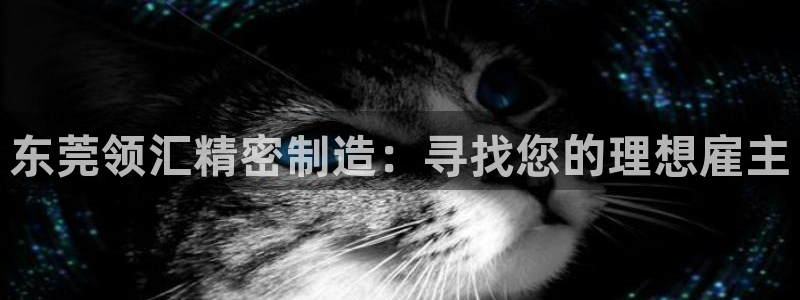 彩神vll首页：东莞领汇精密制造：寻找您的理想雇主