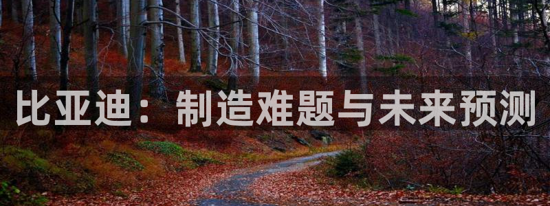 彩神viii官网：比亚迪：制造难题与未来预测