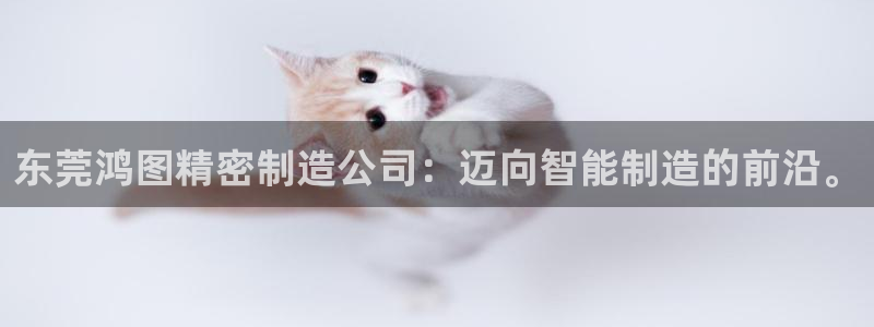 彩神v8平台正规吗安全吗：东莞鸿图精密制造公司：迈向智能制造的前沿。